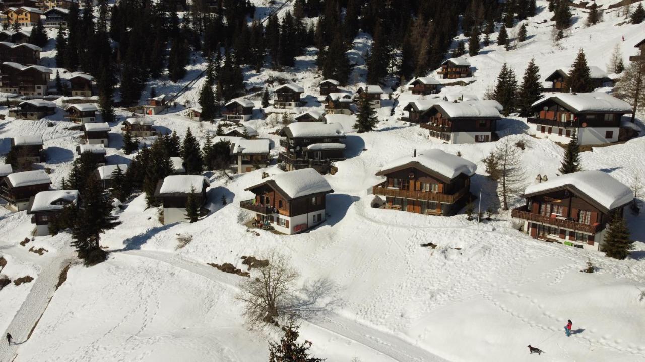 Chalet Foresta Bettmeralp Εξωτερικό φωτογραφία