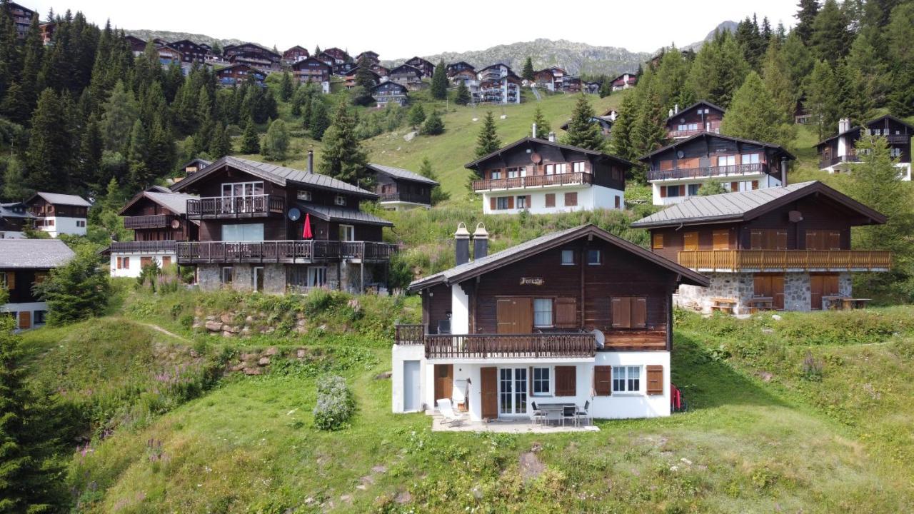 Chalet Foresta Bettmeralp Εξωτερικό φωτογραφία