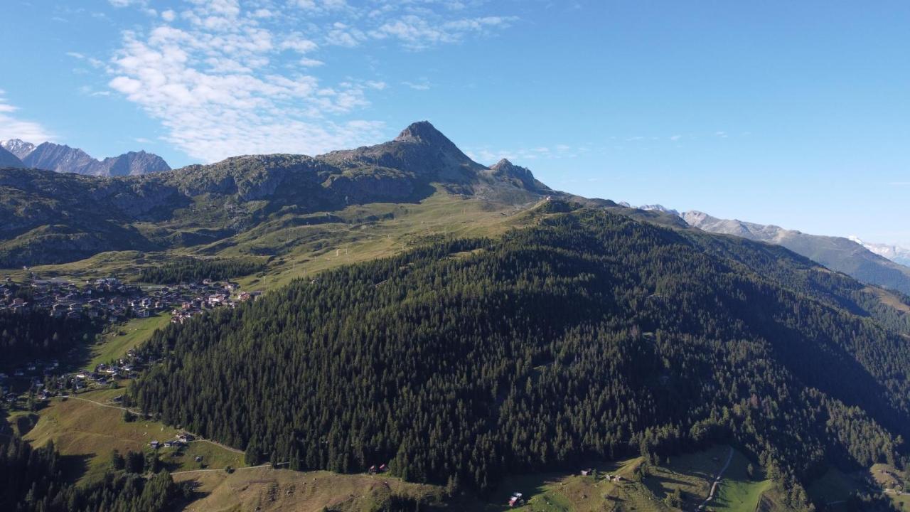 Chalet Foresta Bettmeralp Εξωτερικό φωτογραφία