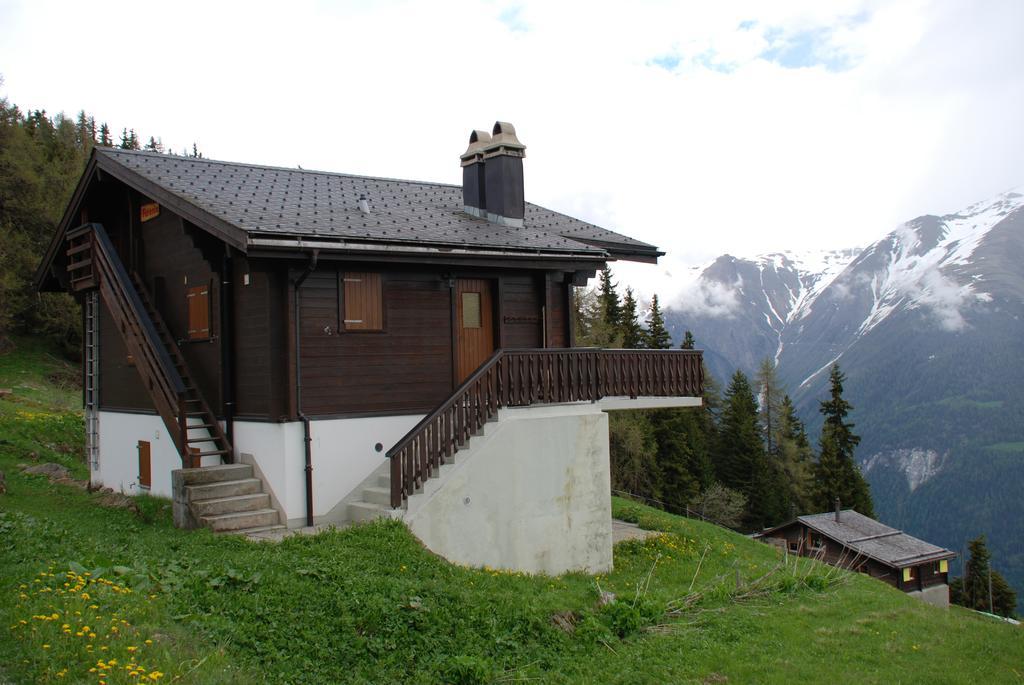 Chalet Foresta Bettmeralp Εξωτερικό φωτογραφία