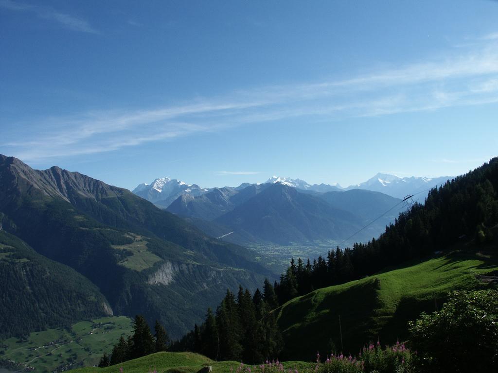 Chalet Foresta Bettmeralp Εξωτερικό φωτογραφία