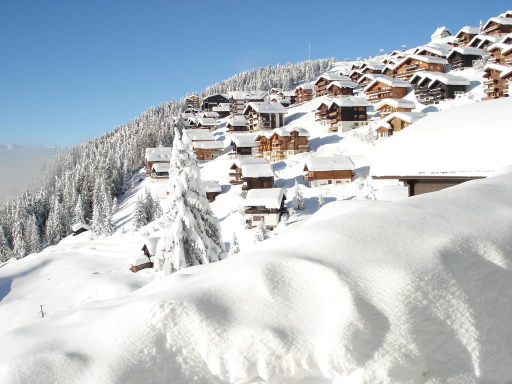 Chalet Foresta Bettmeralp Εξωτερικό φωτογραφία