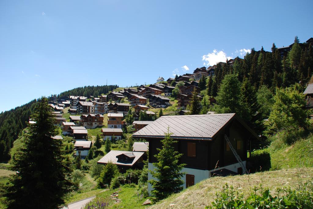 Chalet Foresta Bettmeralp Εξωτερικό φωτογραφία