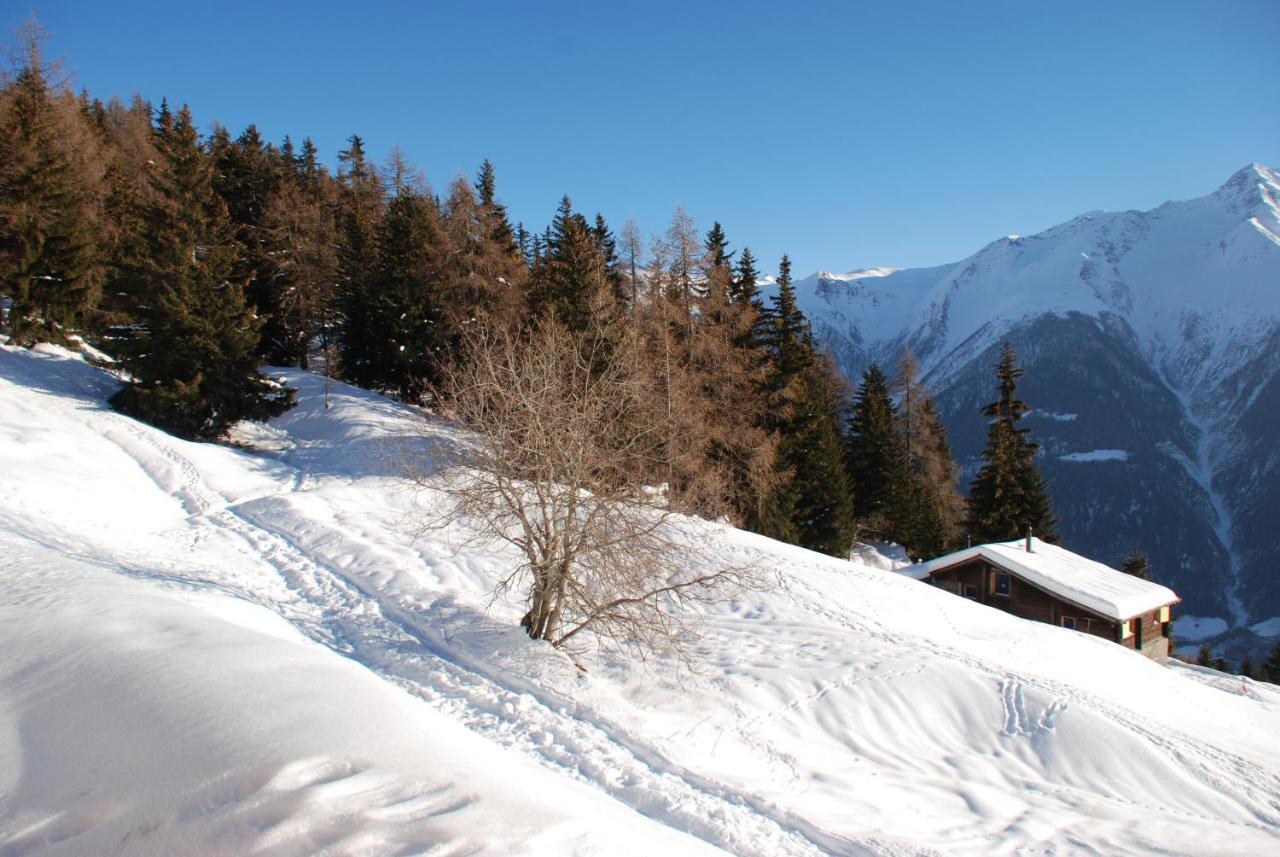 Chalet Foresta Bettmeralp Εξωτερικό φωτογραφία